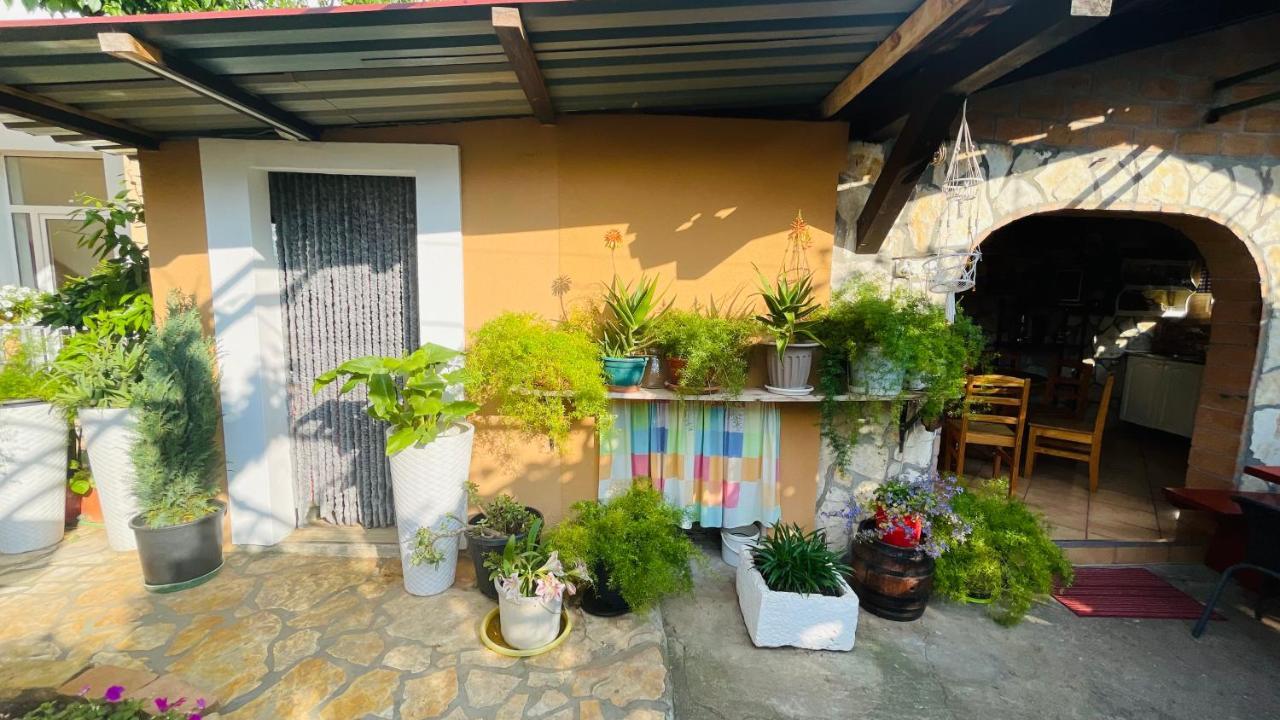 Colorful And Happy Apartment Sukosan - With Parking Extérieur photo